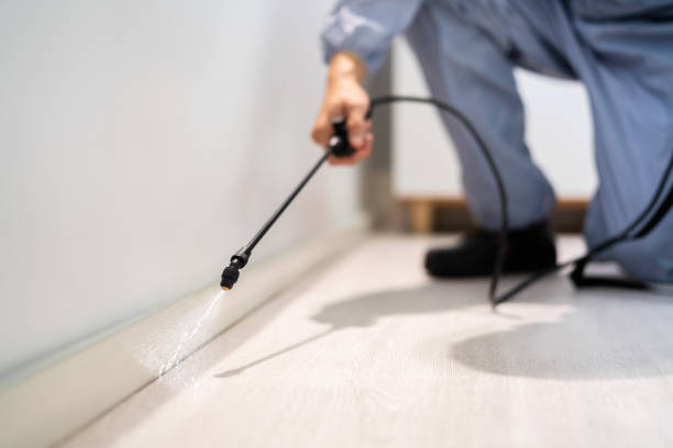 Licensed Cockroach Control service in Wellston, OH - Nex Pest Control