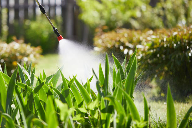 24/7 Emergency Cockroach Control experts in Wellston, OH