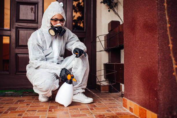 Reliable Cockroach Control contractor in Wellston, OH by Nex Pest Control
