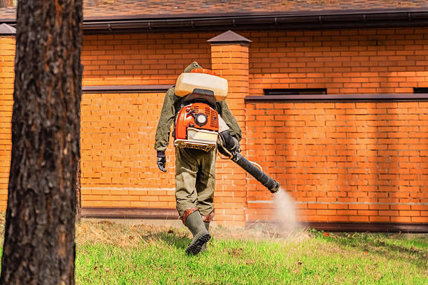 Top rated local Cockroach Control specialists in Wellston, OH